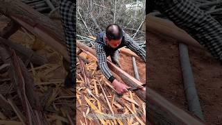 Timber Peeling Mastery