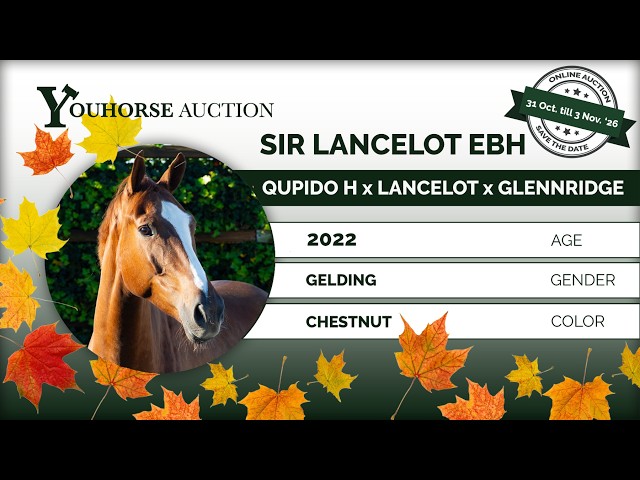 Sir Lancelot EBH