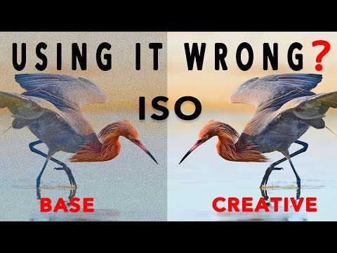 The Hidden Power of ISO To Create Your Signature Look!