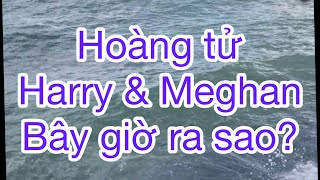 Harry &Meghan giờ ra sao sau khi rời Hoàng Gia Anh