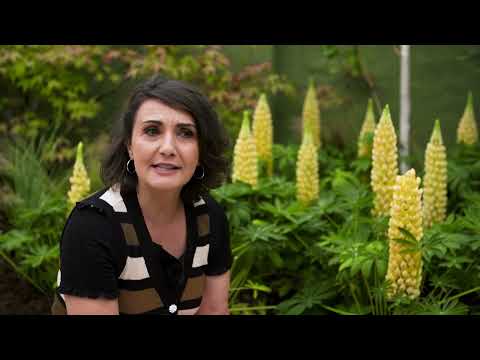 Monica's tip for Odhran's garden - Super Garden 2022, Episode 4