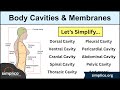 Comprehensive Guide to Body Cavities and Membranes Explained