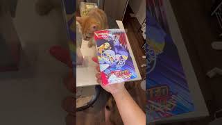 Pokemon Sealed 📈 #pokemon #pokemoncards #investing