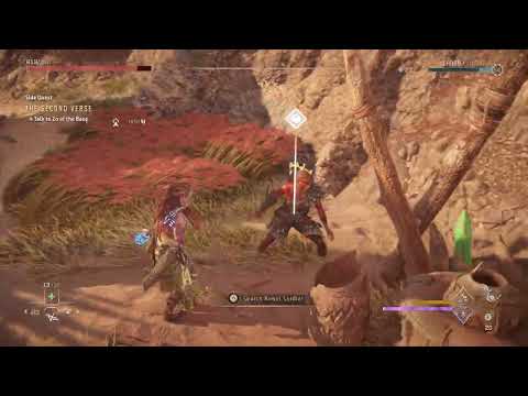 Horizon Forbidden West Warrior Bug Sliding 2022.06.16