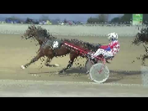 Ippodromo dei Sauri - 5' corsa del 04 dicembre 2024 - Giornata Gentlemen