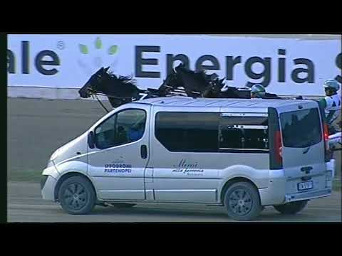 Napoli Trotto 13/11/2022 - 6ª corsa