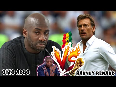 EXCLU🇬🇭BLACK STARS CAMP NEWS: HARVE RENARD REDY TO JOIN OTTO ADDO SACK AMID SPORTS MINISTER RELEASE 