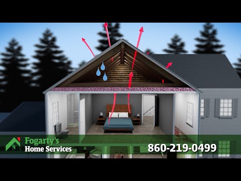 Fogarty's Home Services - How We Eliminate Mold From Attics
