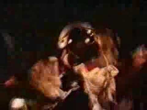 Bob Log III - "String on a Stick"