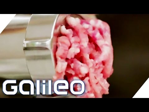 Make your own food | Galileo Lunch Break