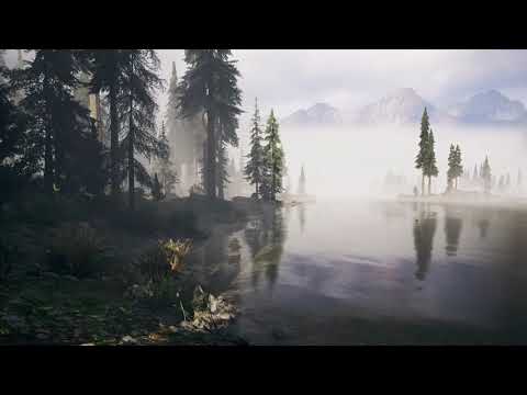 🎵 Ambient Music(Far Cry 5)