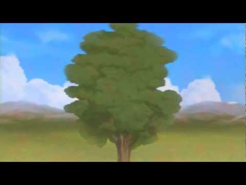MTV - SEX IS NO ACCIDENT - FLYING GIRL