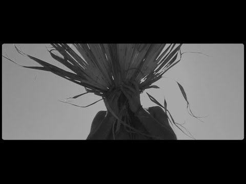 Ethnique Punch - Ayyuk ft. Miray (Official Video)