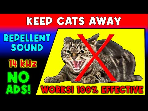 ANTI CATS REPELLENT SOUND ⛔😼🐈 KEEP CATS AWAY - ULTRASONIC SOUND