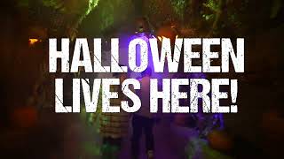 Part of the oft-celebrated Thirteenth Floor, the world's largest Halloween entertainment company, the Los Angeles Haunted Hayride has long been heralded as one of LA's best haunted attractions, complete with Hollywood-quality sets and performances, multiple walkthrough environments, and even a "shock-tail" party with a live musical performance. Transforming their property into the town of Midnight Falls in 2022, the triumphant return of Los Angeles Haunted Hayride is one that West Coast ghouls should not miss.
You can buy tickets and learn more about Los Angeles Haunted Hayride here.