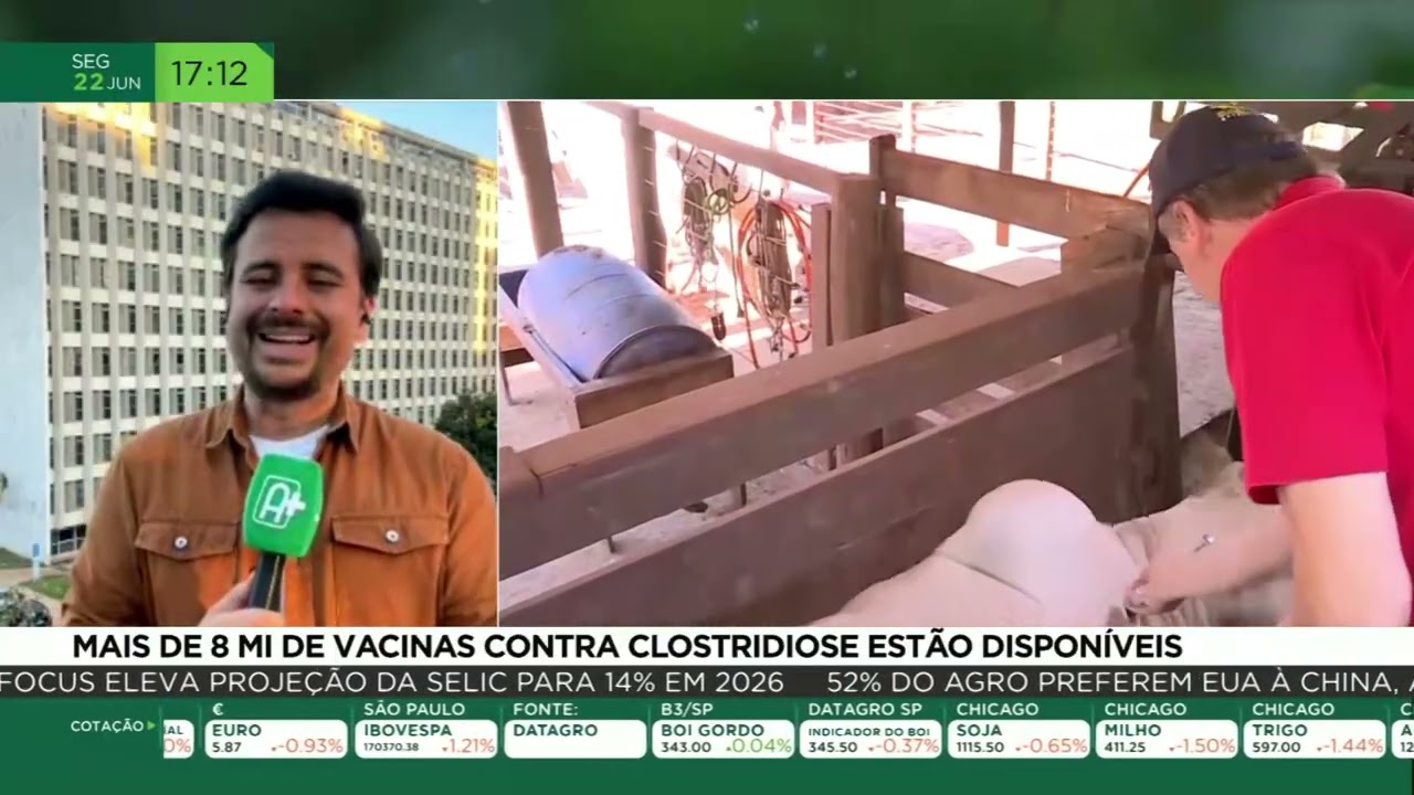 Mais de 8 milhões de vacinas contra clostridiose estão disponíveis, aponta Mapa