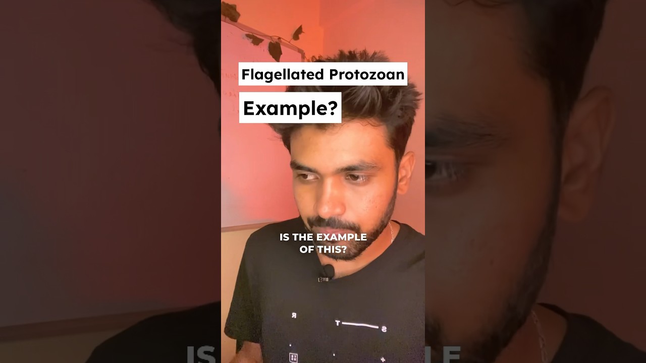 NEET 2024 Biological Classification Most Predicted Questions😱| (pt-5) #neet