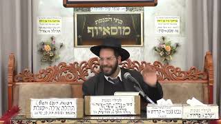 הרב יוחאי קמיל | פרשת השבוע - בשלח | מוסאיוף (בית הכנסת מוסאיוף - ערוץ חדש) - התמונה מוצגת ישירות מתוך אתר האינטרנט יוטיוב. זכויות היוצרים בתמונה שייכות ליוצרה. קישור קרדיט למקור התוכן נמצא בתוך דף הסרטון