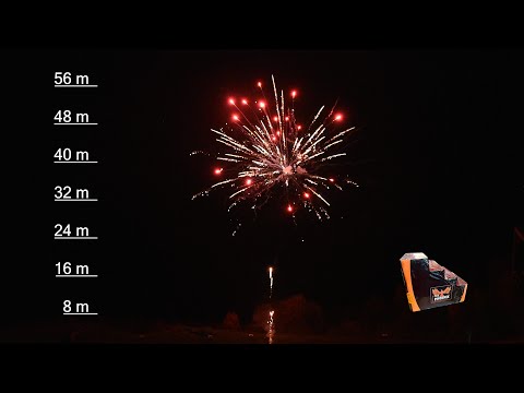 TB62 „The Phoenix“