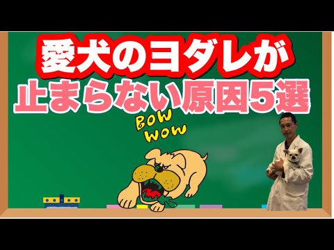 犬がよだれをたくさん垂らすのですが、一体何が原因なのでしょうか?