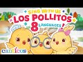 Los Pollitos Dicen En 8 Idiomas Songs For Kids Canticos Kids Cartoon Animals