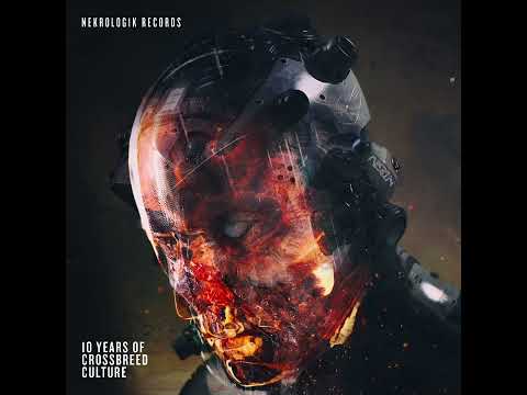 Ak-Industry vs. I:Gor & Neverquiet - Nekrologik Anthem