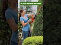 TOP-5. Best Hedge Trimmers (Cordless, Corded, Electric, Gas) 2024