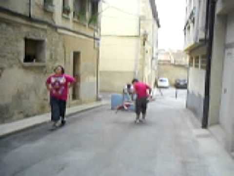 Txamizo askatuak 2010