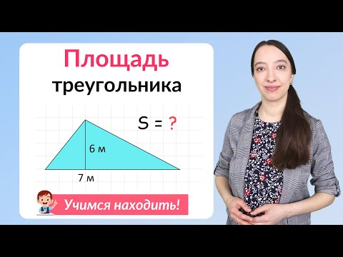 Площадь треугольника. Как найти площадь треугольника?