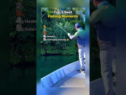 Top 5 Fishing Moments 🎣#tiktok #best #fishing