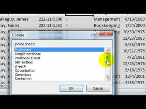 Excel VBA Tips n Tricks #14 Hiding Worksheets - xlHidden versus xlVeryHidden