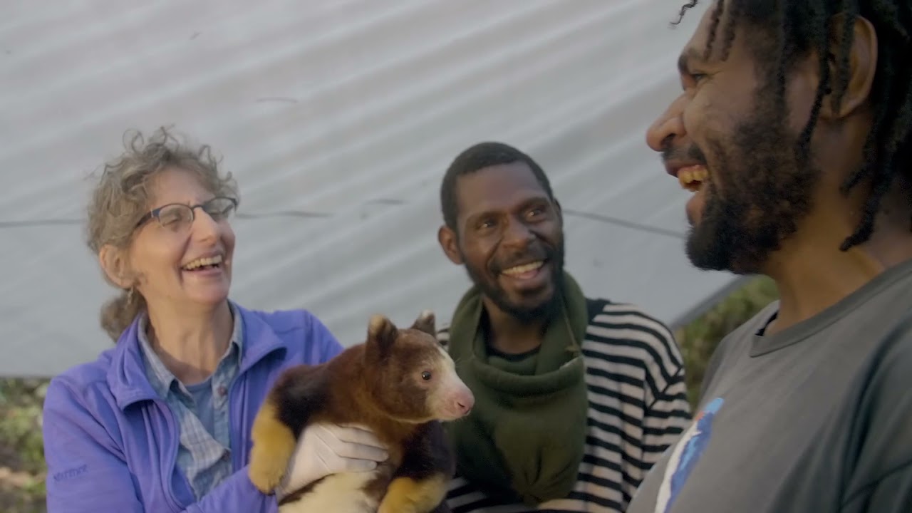 A Life Among The Clouds