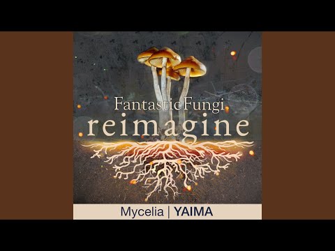 Mycelia (Fantastic Fungi: Reimagine)