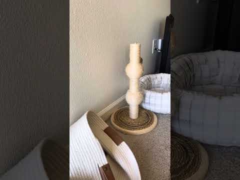 Villager vs Pillager life 11