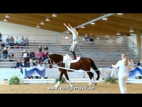 Luke Sommerfeld - Male 07 - DJM Voltigieren München 2018