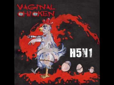 Vaginal Chicken - Grippe Aviaire