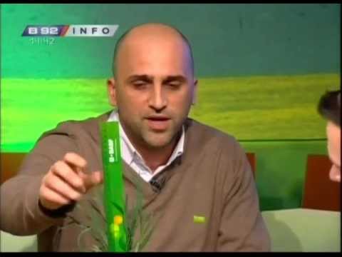 BASF vremenska prognoza 10.03.2013.