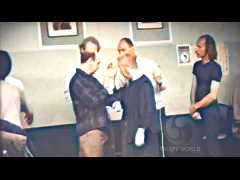 Cheng Man Ching PUSH HANDS and FAJING superb quality  in colour