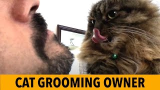 Cat Grooming/ Licking Me