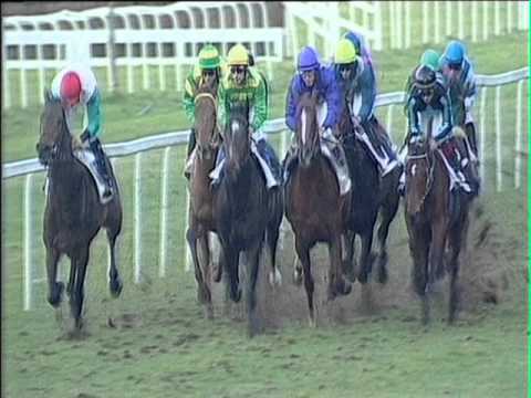 2016-02-11 corsa n6 m2000 Premio Antonio Regoli