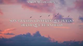 NIGHTWISH - Feel For You (subtitulado al español)