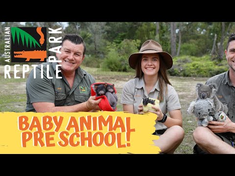 Australian Reptile Park