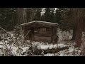 Abandoned Trappers Cabin
