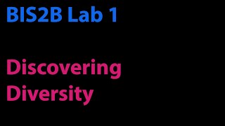 BIS2B Lab 1: Discovering Diversity