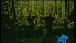 Bury Your Dead - House of Straw