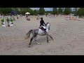Castrone sBs Cavallo da Sport Belgio In vendita 2017 Grigio ,  COULEUR LATOUR