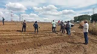 Embrapa em Jequi III