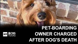 Lewisville pet‑boarding owner charged after dog’s death