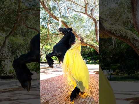 Todos dándole ánimos a la quinceañera... hasta que 🫣 #quinceañeradress #miamiquinces #quinceañera