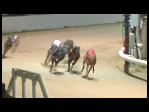 Perrys Choice - Coral Essex Vase - 1st Semi Final